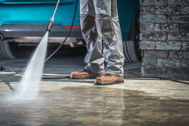 Best Gutter Cleaning and Brightening in Shongopovi, AZ
